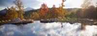 Pond-in-Fall-1024x682